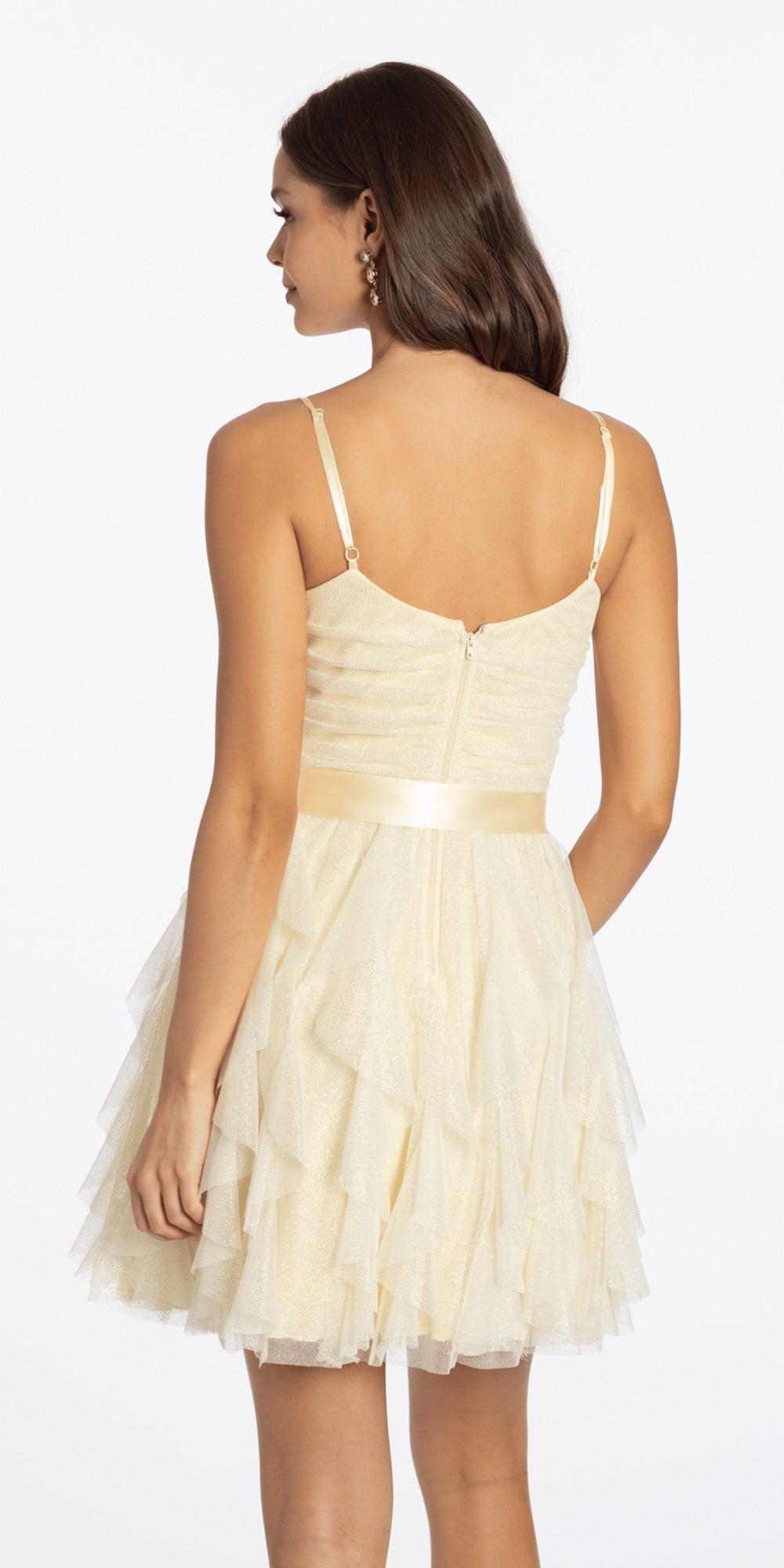 Glitter Mesh Corset Fit and Flare Dress with Satin Tie